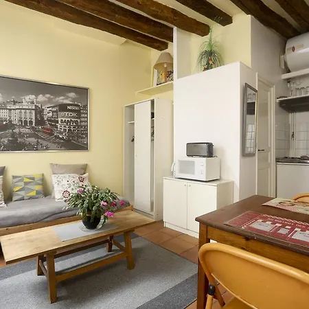 Lovely And Typical 1 Bedroom Paříž